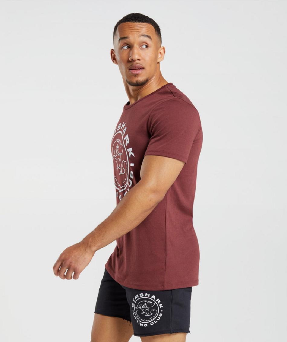 T Shirts Męskie Gymshark Legacy Różowe Brązowe | PL 3860MQZ